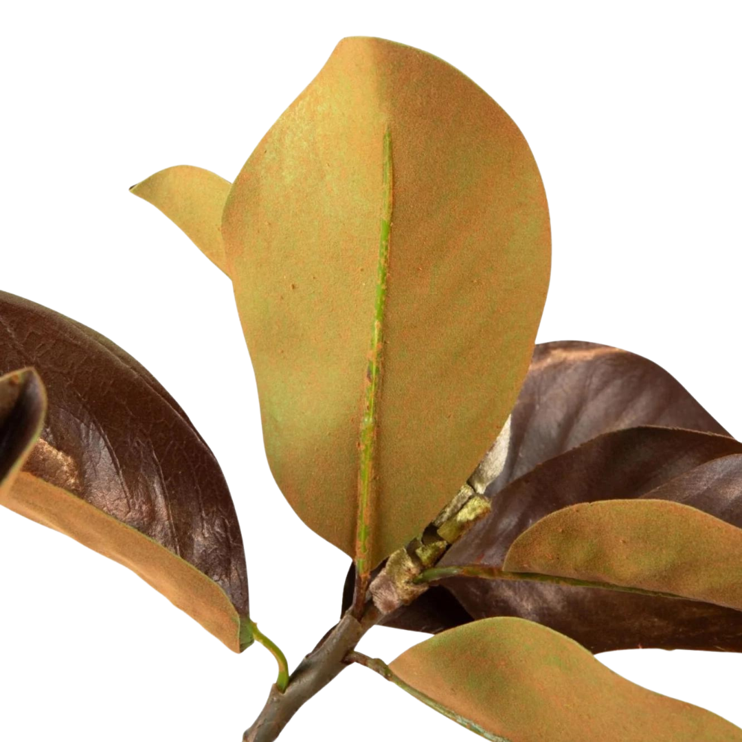 38.5" Artificial Magnolia Leaf Branch
