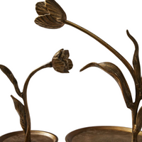 Craning Tulip Sculpture