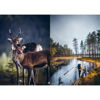 Food in the Woods