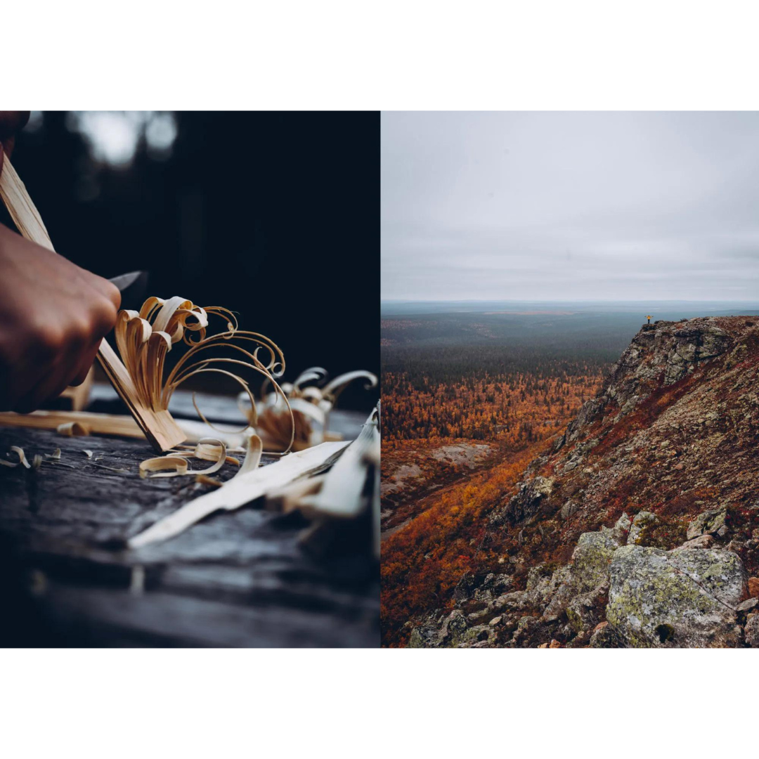 Food in the Woods