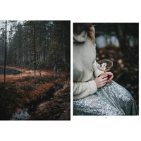 Nordic Winter Cookbook