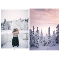 Nordic Winter Cookbook