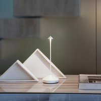 Pina Pro Lamp