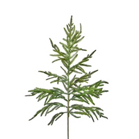 Real Touch Norfolk Pine Branch - 31"