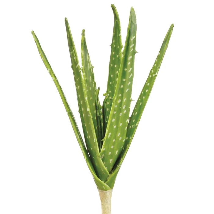 12.5" Soft Touch Aloe Pick