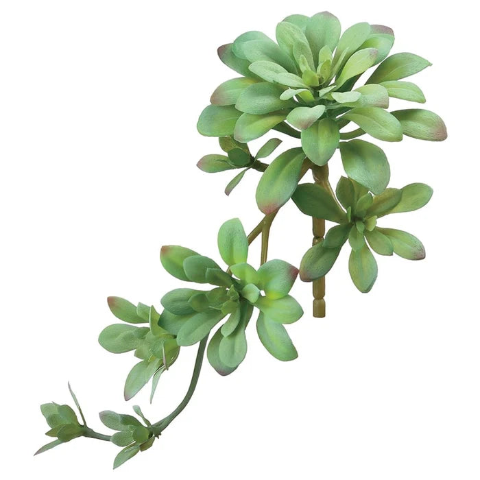 11.8" Soft Aeonium Pick