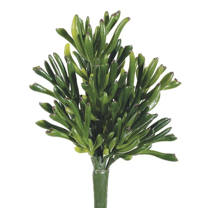 9" Coral Succulent Pick