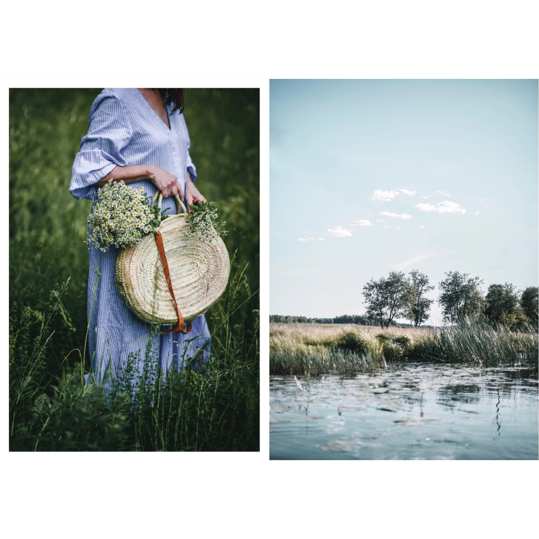 Nordic Summer Cookbook