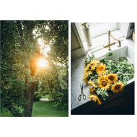 Nordic Summer Cookbook