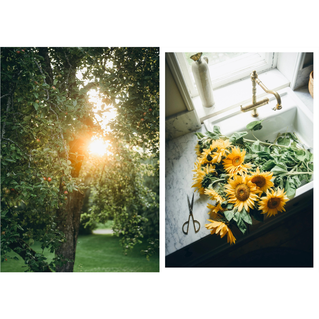 Nordic Summer Cookbook