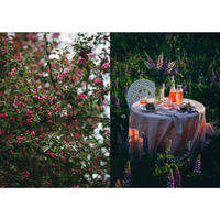 Nordic Summer Cookbook