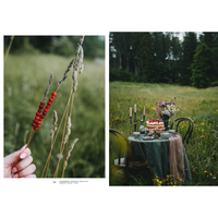 Nordic Summer Cookbook