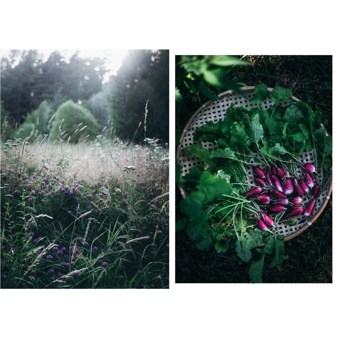 Nordic Summer Cookbook