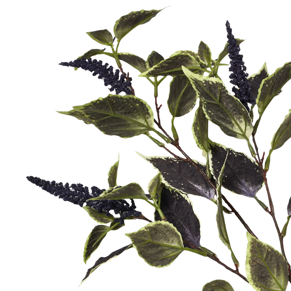 32" Coleus Spray Branch