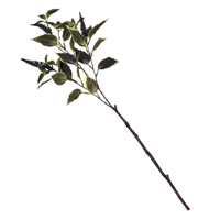 32" Coleus Spray Branch