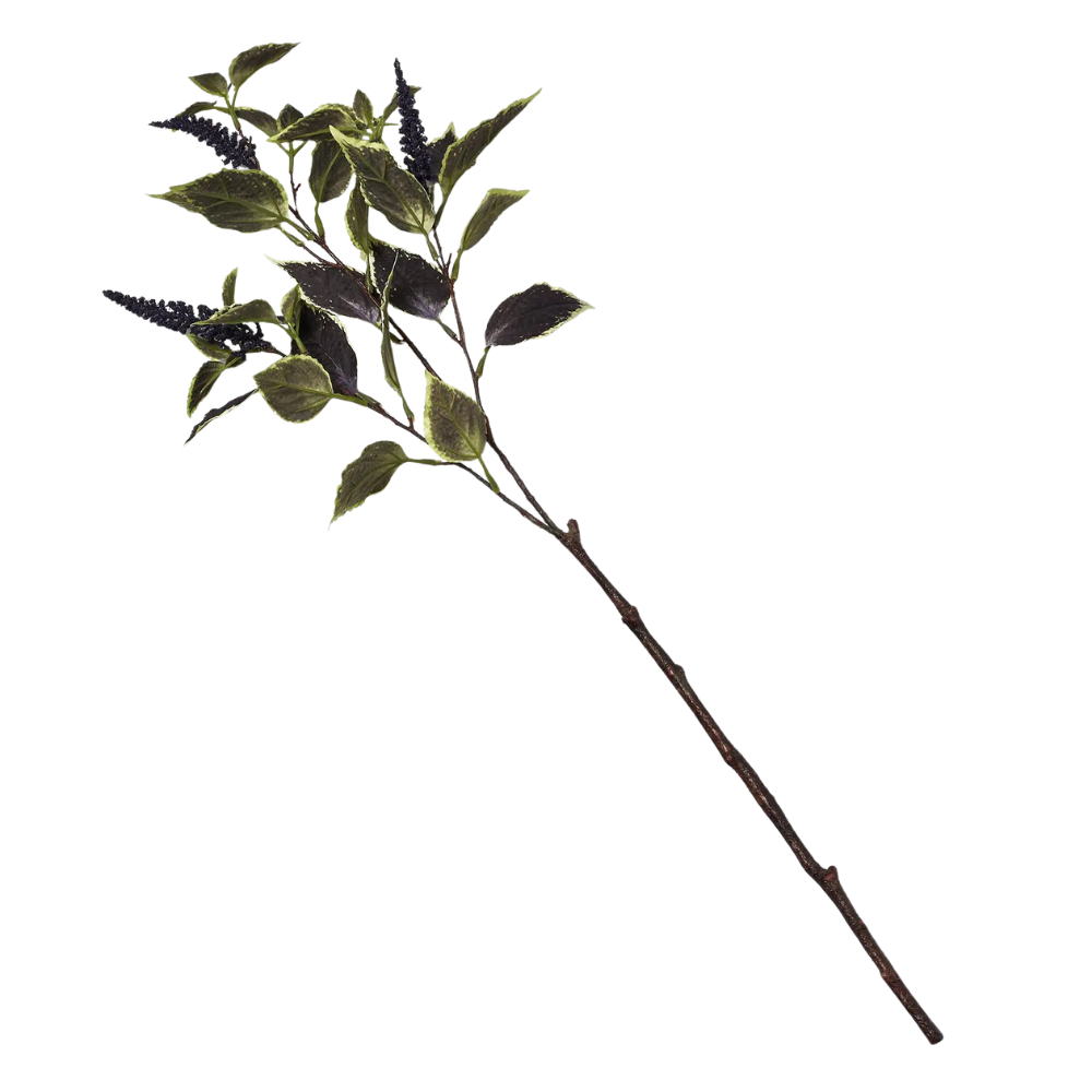 32" Coleus Spray Branch