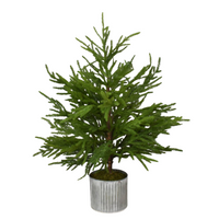 28” Norfolk Pine Tree in Galvanized Whitewash Container