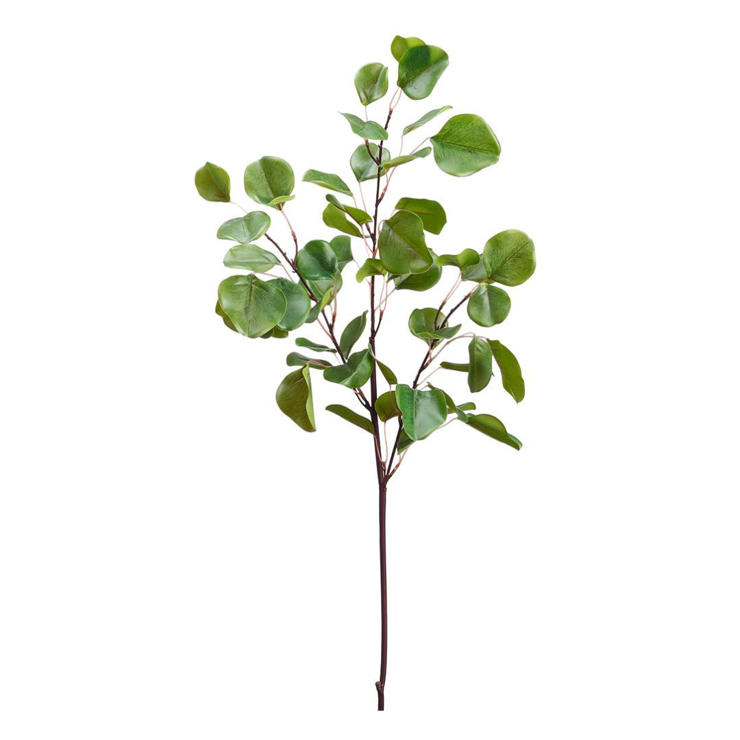 36" Eucalyptus Branch