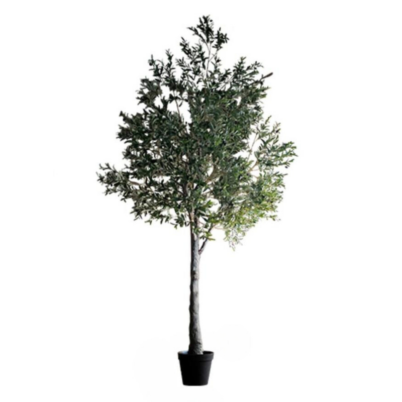 Artificial Extra Large Tall Olive Tree