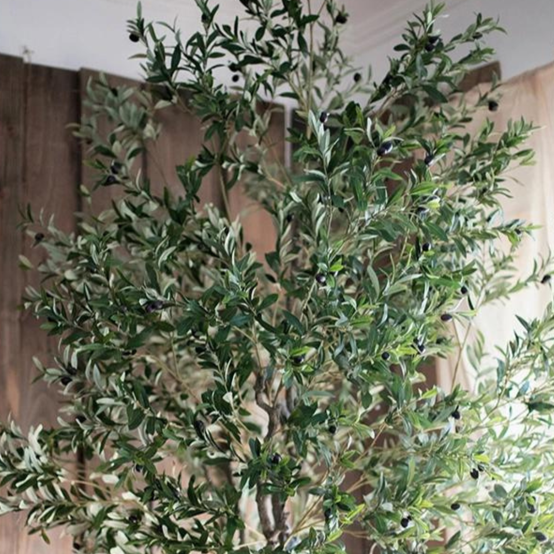 Artificial Extra Large Tall Olive Tree