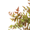 Artificial Nandina Leaf Branch - 39"