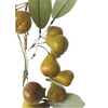 Artificial Pear Branch - 30"