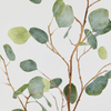 Artificial Silver Dollar Eucalyptus Branch - 44"