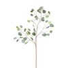 Artificial Silver Dollar Eucalyptus Branch - 44"