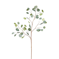 Artificial Silver Dollar Eucalyptus Branch - 44"
