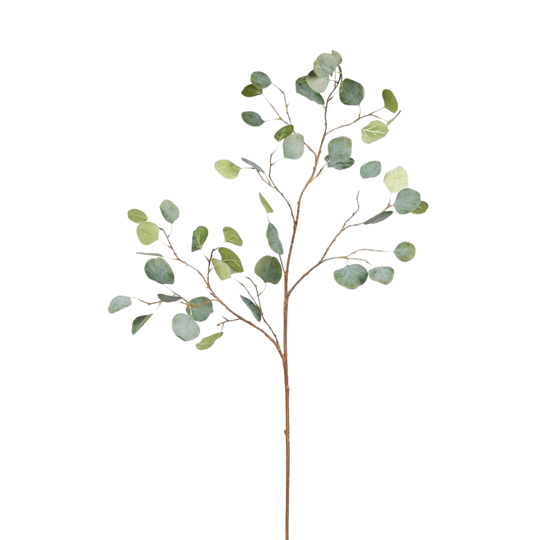 Artificial Silver Dollar Eucalyptus Branch - 44"