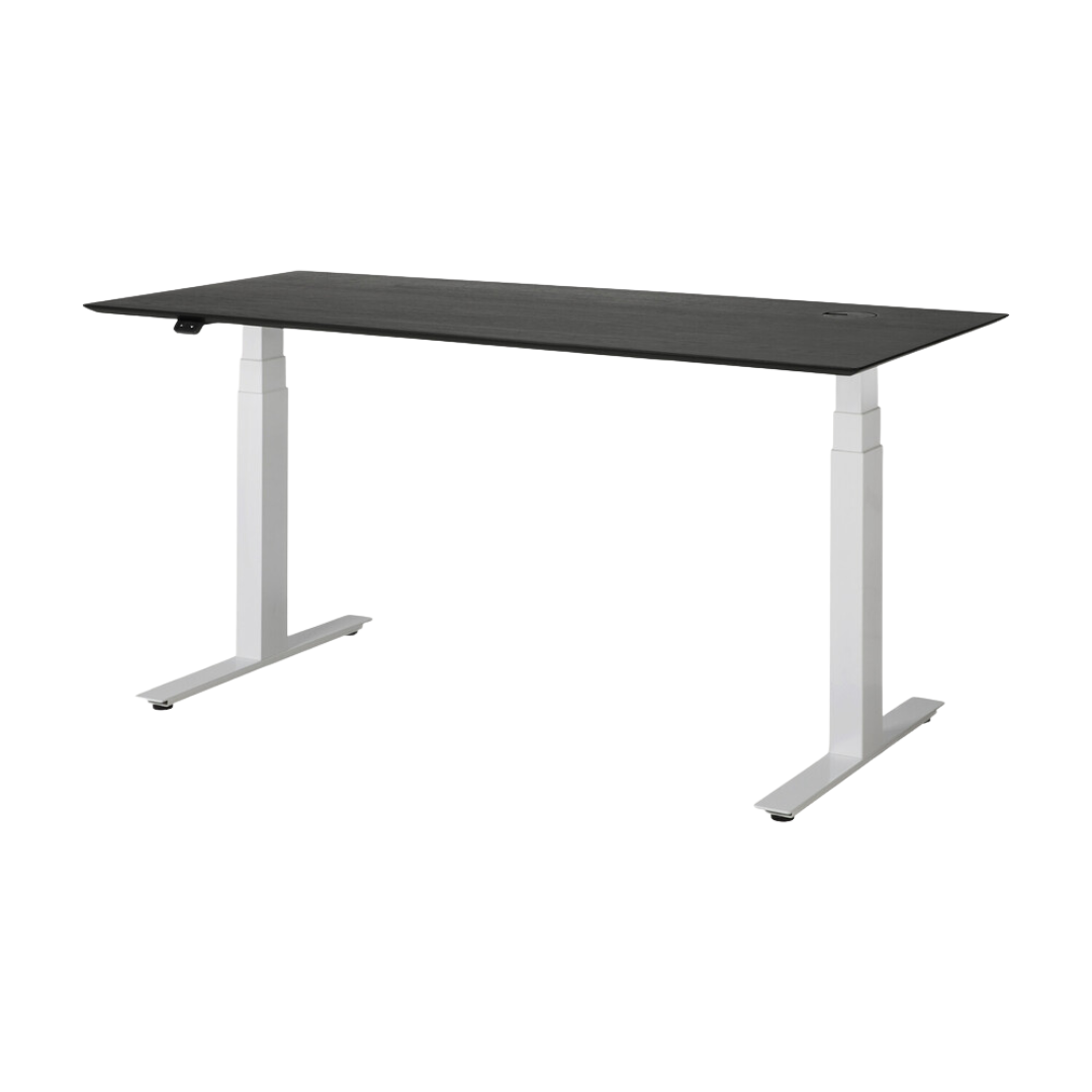 Bok Adjustable Desk
