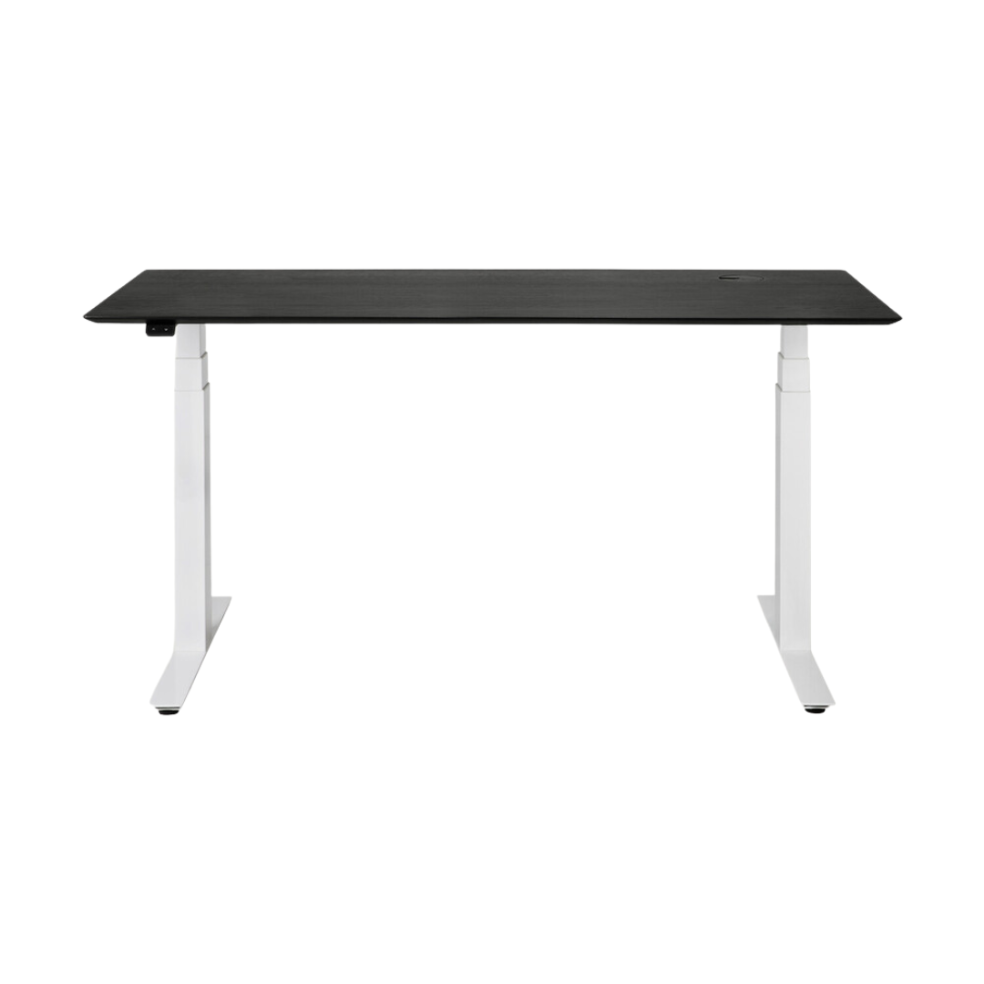 Bok Adjustable Desk