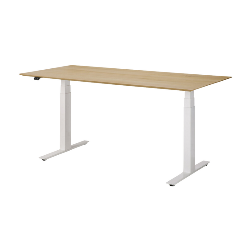 Bok Adjustable Desk