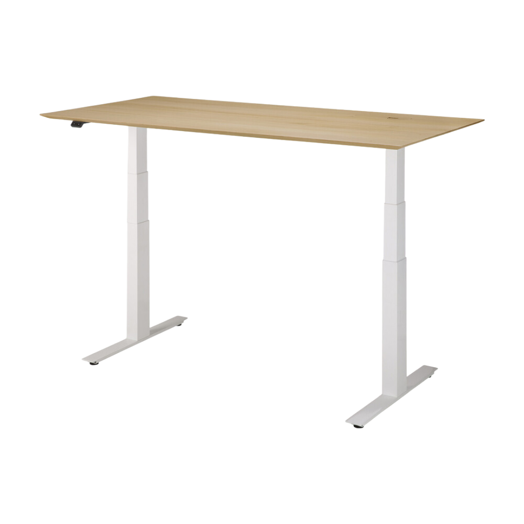 Bok Adjustable Desk
