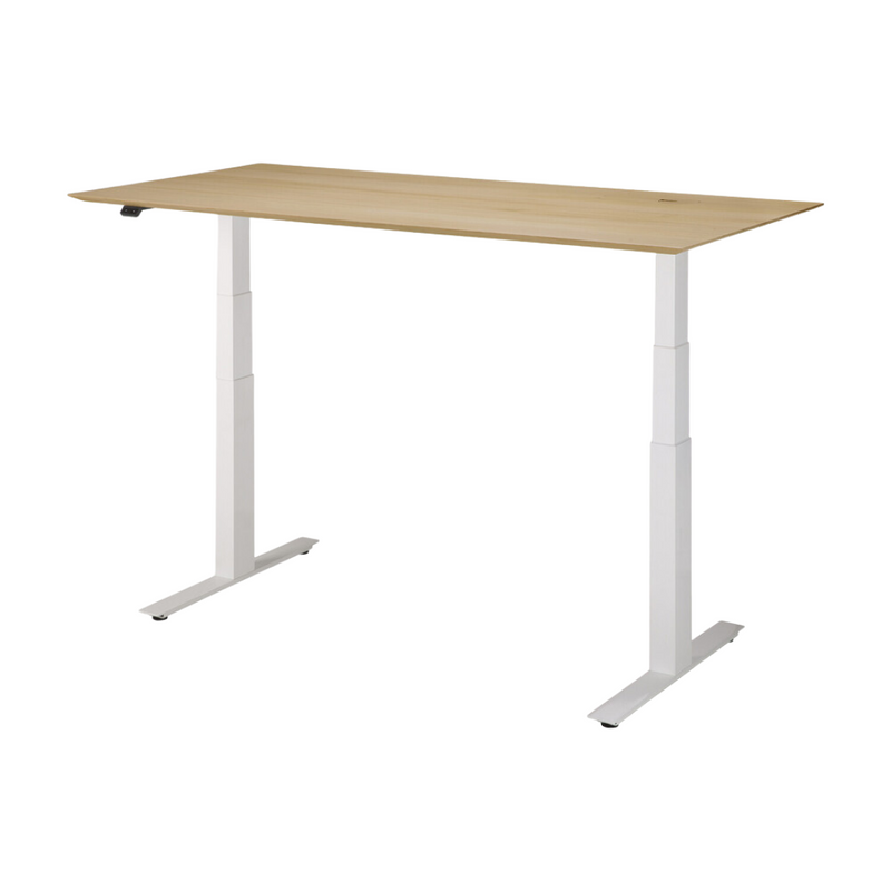 Bok Adjustable Desk