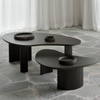Boomerang Coffee Table