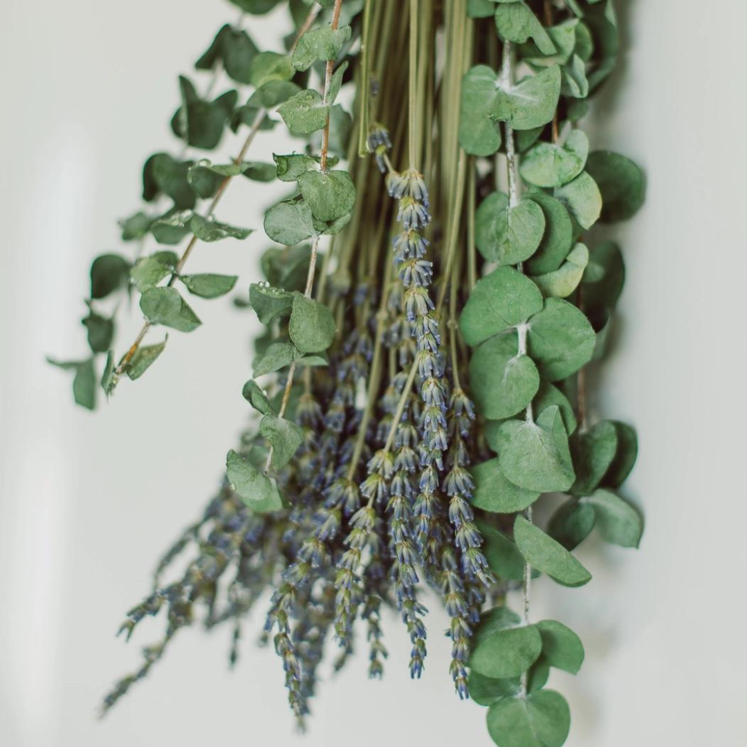 Eucalyptus + Lavender Shower Bundle