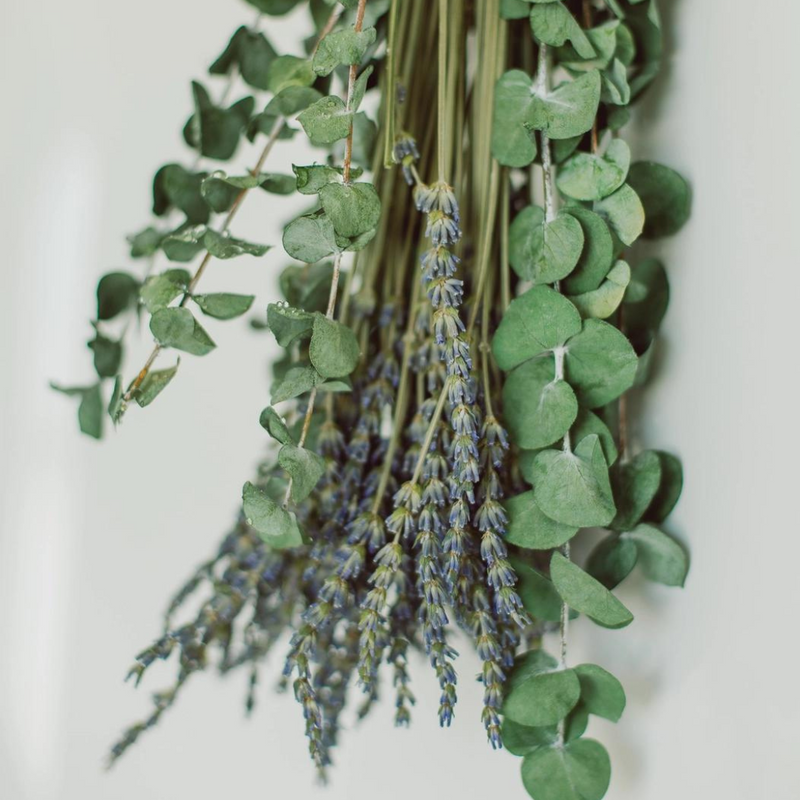 Eucalyptus + Lavender Shower Bundle