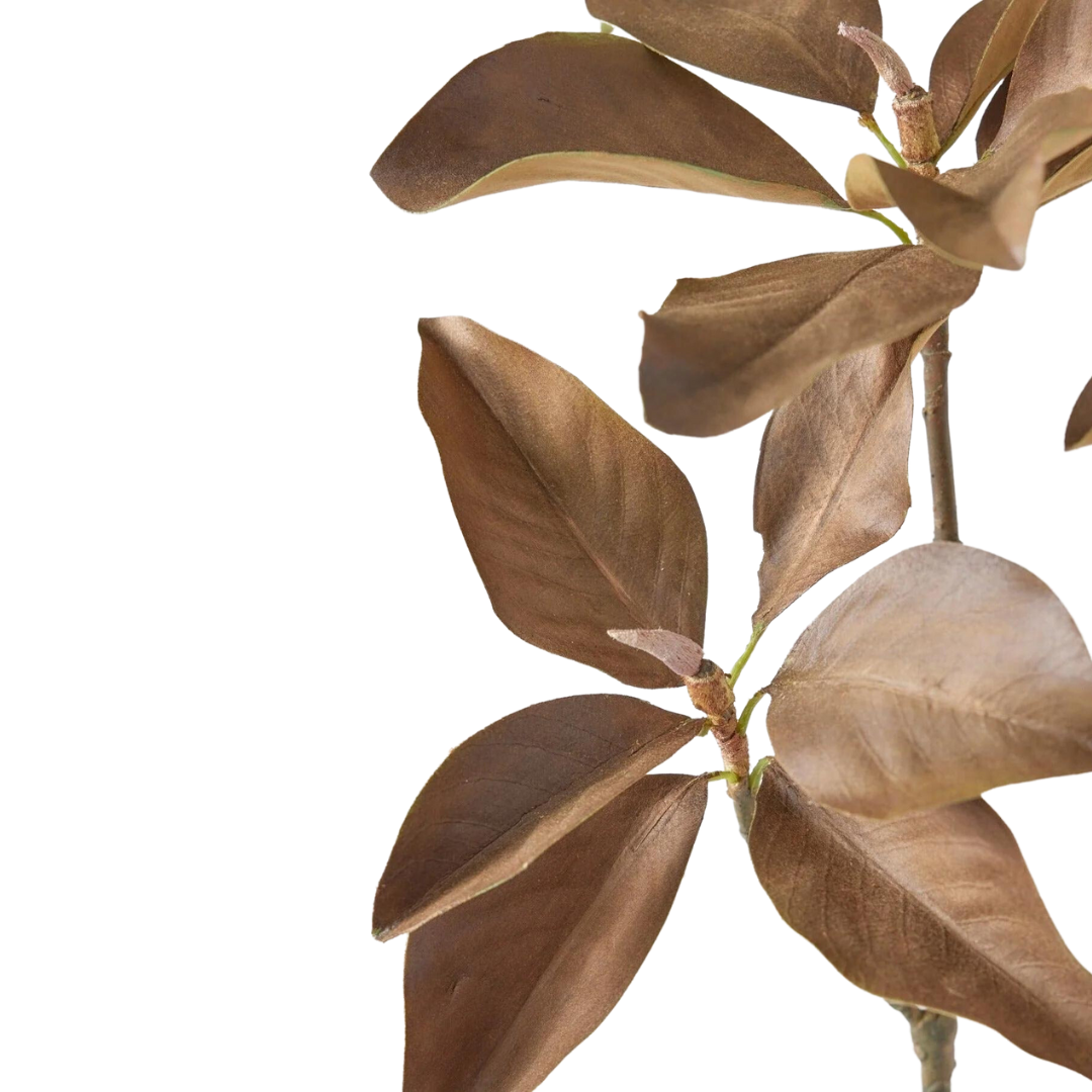 Fall Brown Artificial Magnolia Leaf Branch - 38.5"