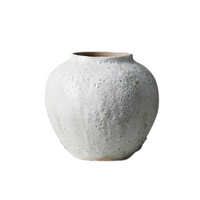 Fashionable Modern Minimalist White Creative Vase