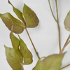 Faux Grape Ivy Branch Green Eggplant - 48"