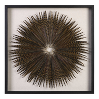 Feather Burst Shadow Box