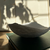 Joli Bowl, #01