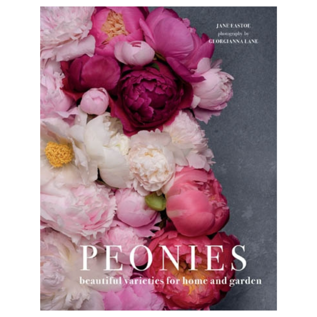 Peonies: Beautiful Varieties For Home & Garden