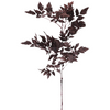 Plum Fake Cimicifuga Ramosa Leaves - 31"