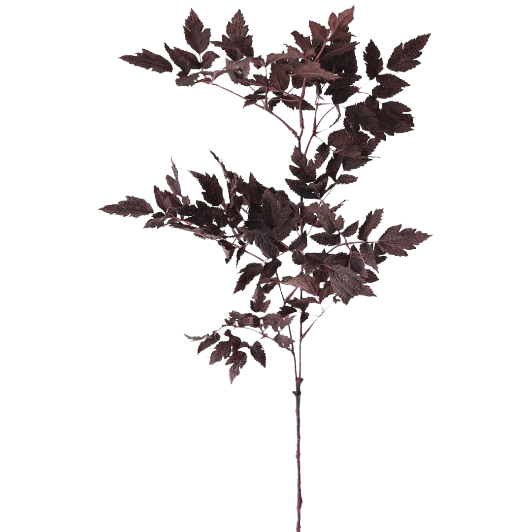 Plum Fake Cimicifuga Ramosa Leaves - 31"