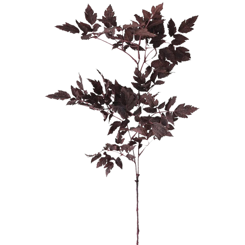 Plum Fake Cimicifuga Ramosa Leaves - 31"