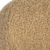 Poodle Ball Pillow