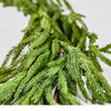 Real Touch Norfolk Pine Garland - 180" Long