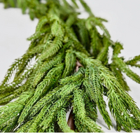 Real Touch Norfolk Pine Garland - 180" Long